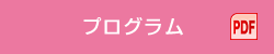 プログラム PDF